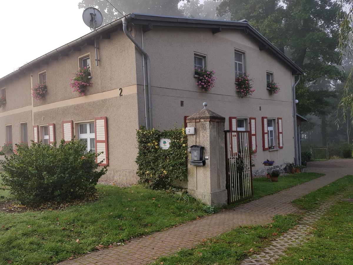 Ferienwohnung Siebmann Neuruppin Esterno foto