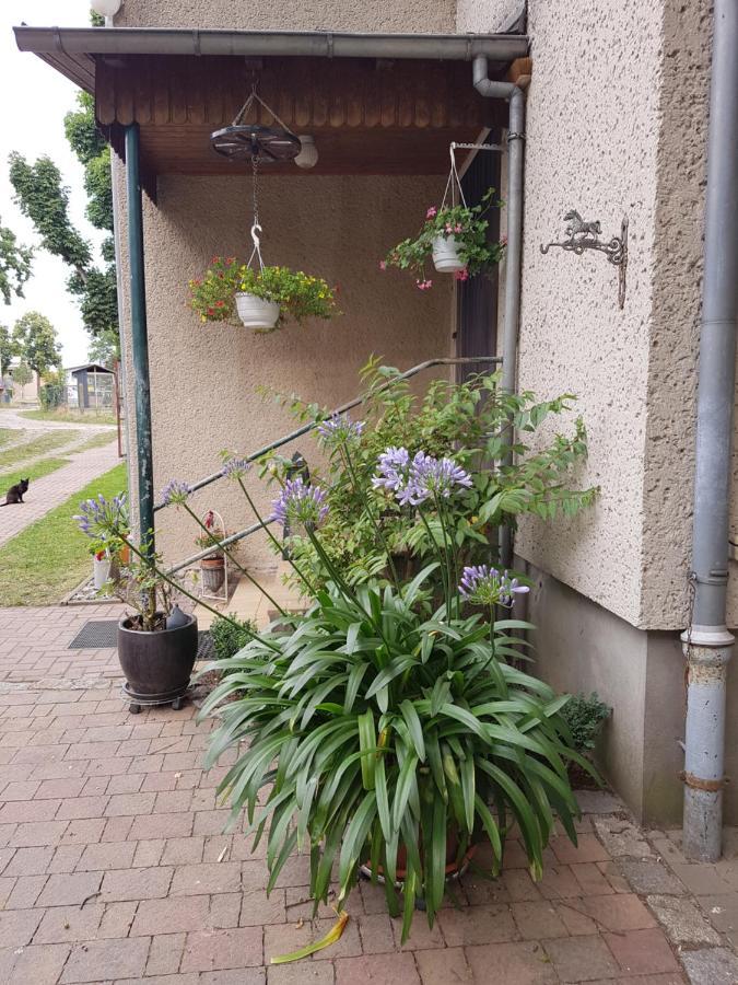 Ferienwohnung Siebmann Neuruppin Esterno foto