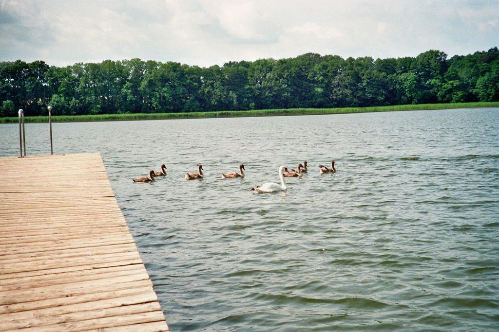 Ferienwohnung Siebmann Neuruppin Camera foto